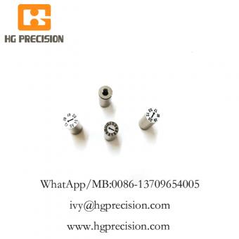 HG Plastic Injection Mold Date Stamp Made In China